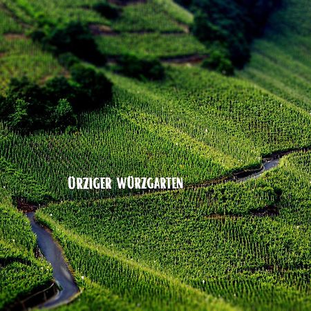 Apartment Weingut Dr Hermann I Erden Екстер'єр фото